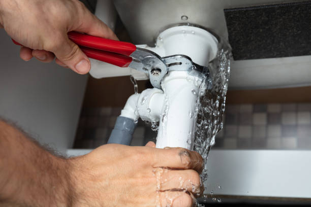 Best Mold removal after water damage  in North Kensington, MD