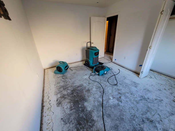 Best Basement water damage restoration  in North Kensington, MD