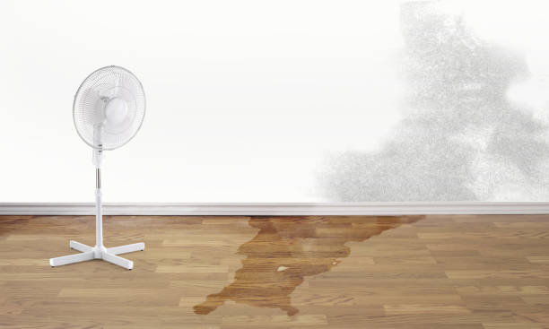 Water damage restoration process in North Kensington, MD