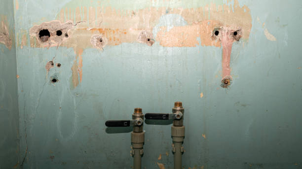 Best Fire Damage Restoration  in North Kensington, MD