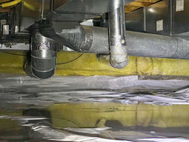 Best Water damage cleanup near me  in North Kensington, MD