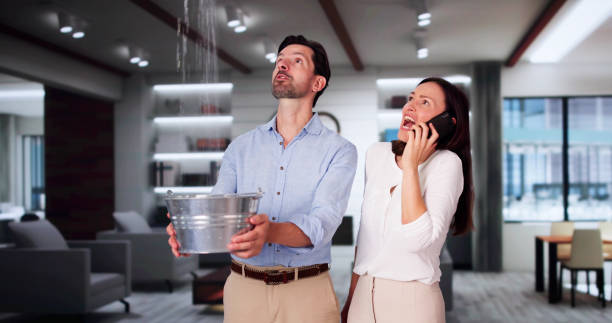 Best Water damage restoration near me  in North Kensington, MD
