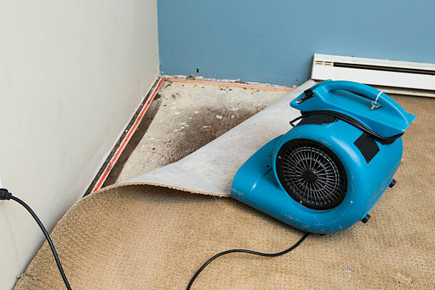 Best 24/7 water damage repair  in North Kensington, MD